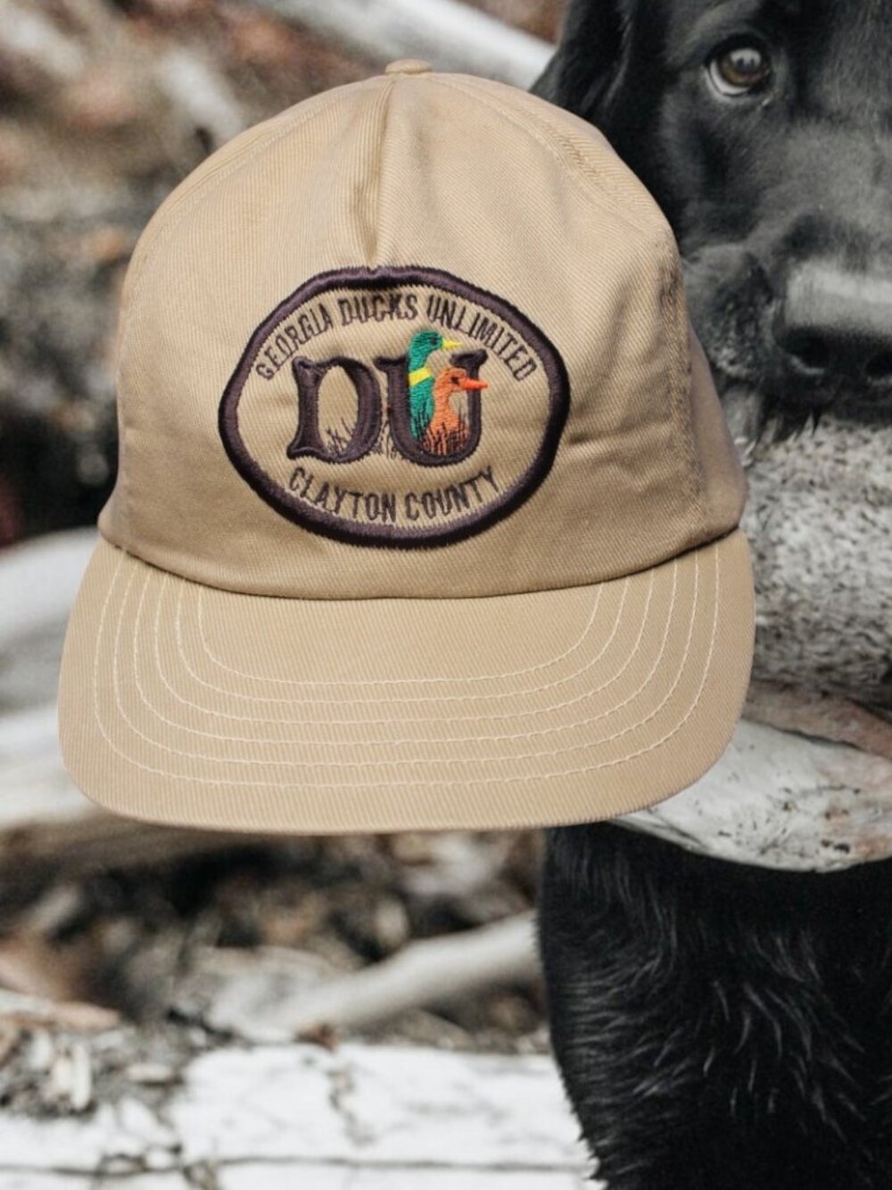Vintage Ducks Unlimited Hat Cap Snapback Georgia Clayton County Hunting Lab